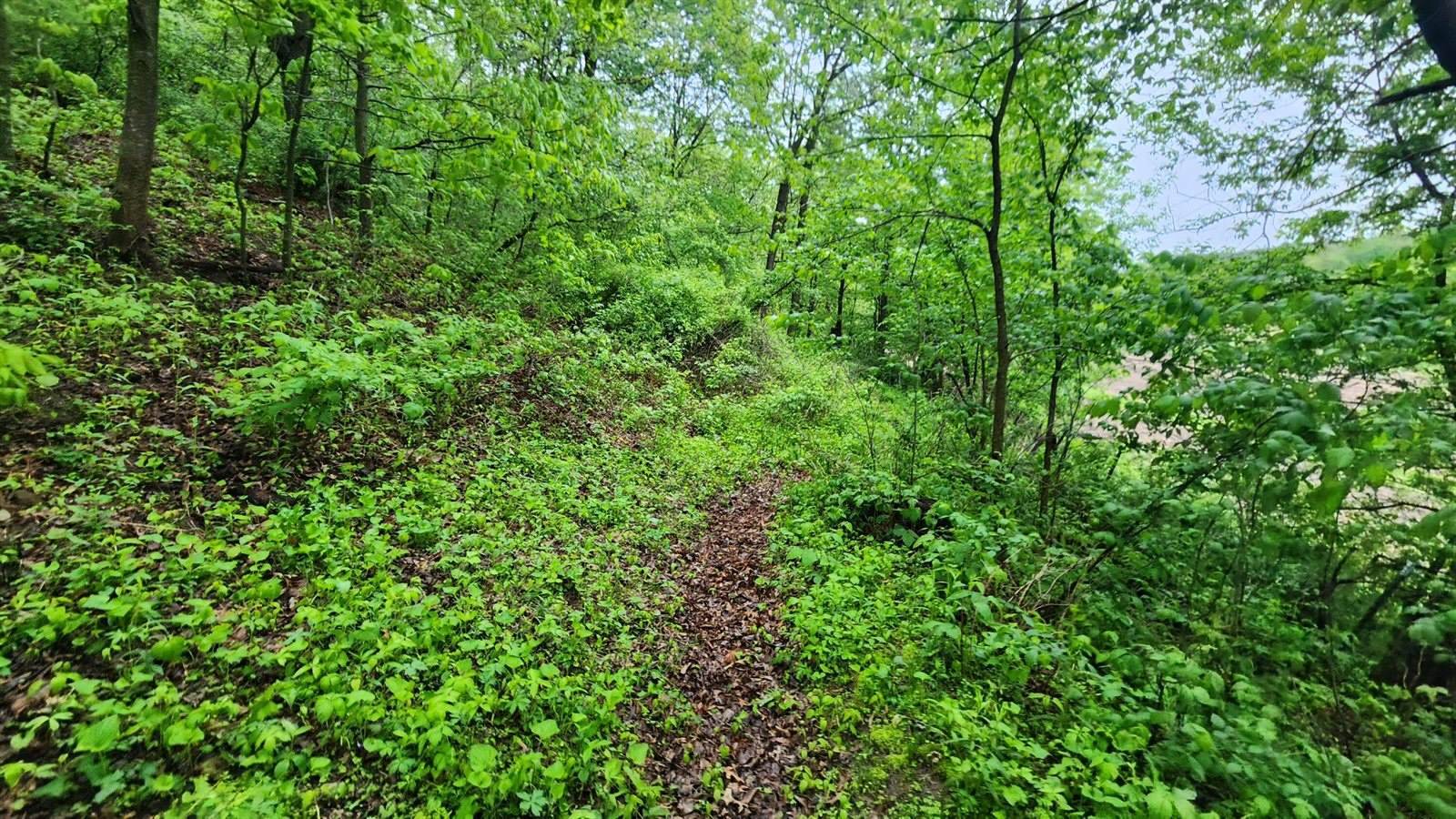 9182 State Highway 27, Sparta, WI 54656