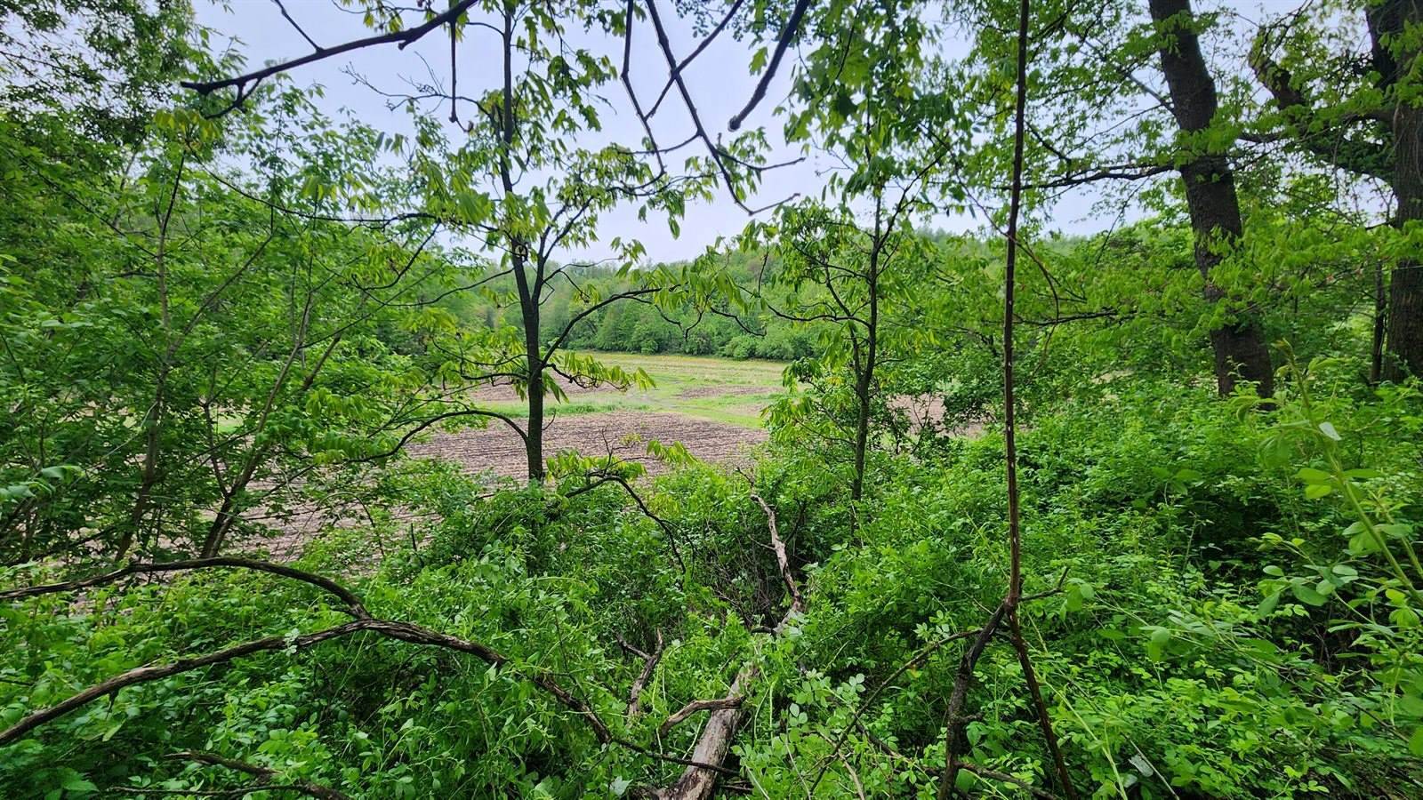 9182 State Highway 27, Sparta, WI 54656