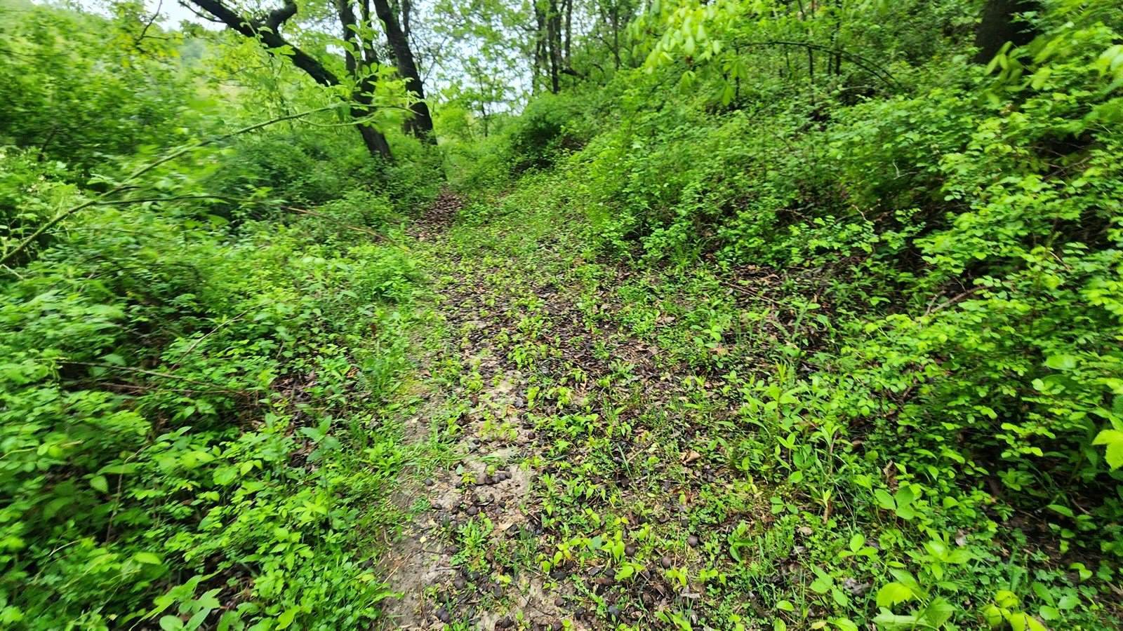 9182 State Highway 27, Sparta, WI 54656