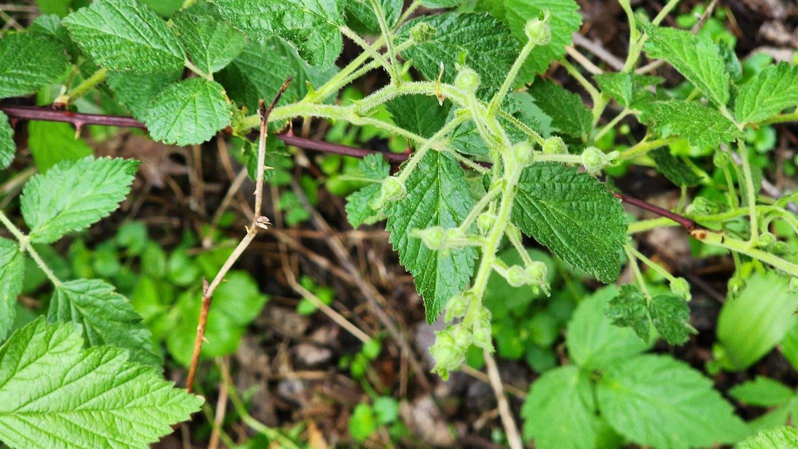 9182 State Highway 27, Sparta, WI 54656