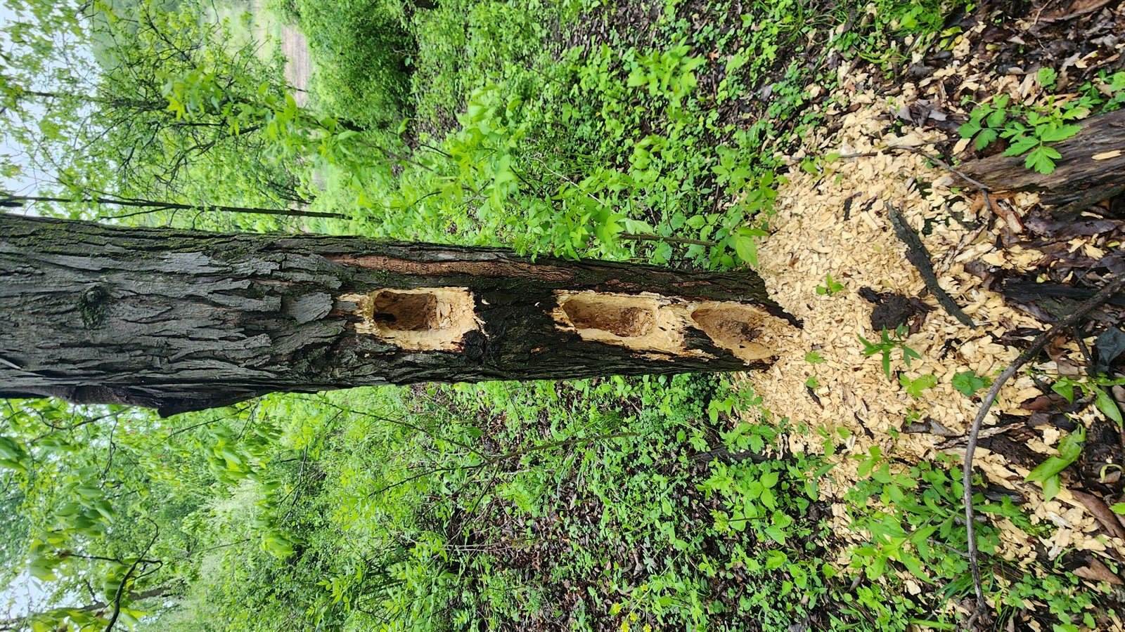 9182 State Highway 27, Sparta, WI 54656