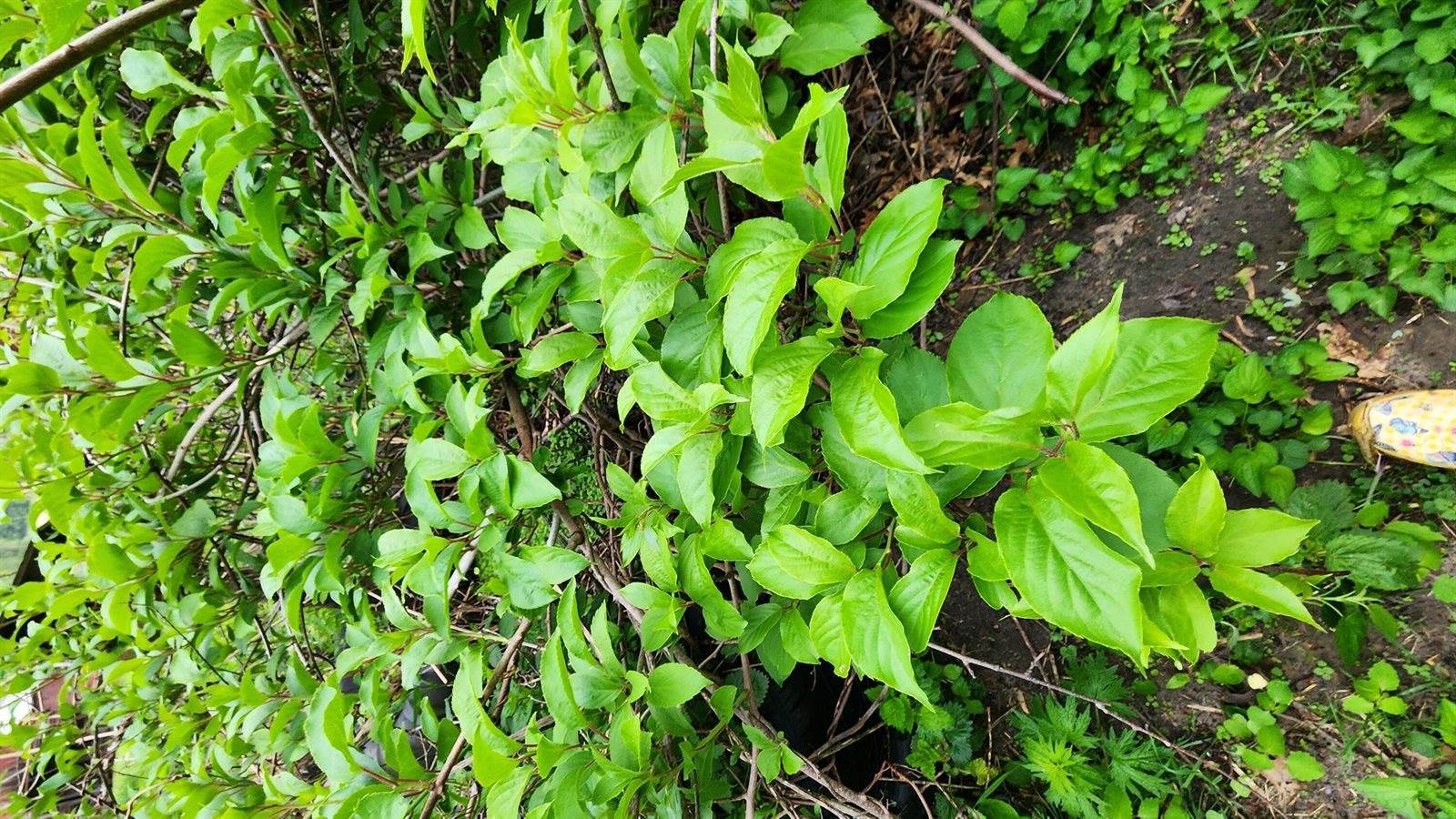 9182 State Highway 27, Sparta, WI 54656