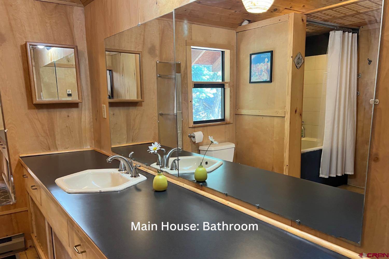 416 Ninth Avenue, Ouray, CO 81427