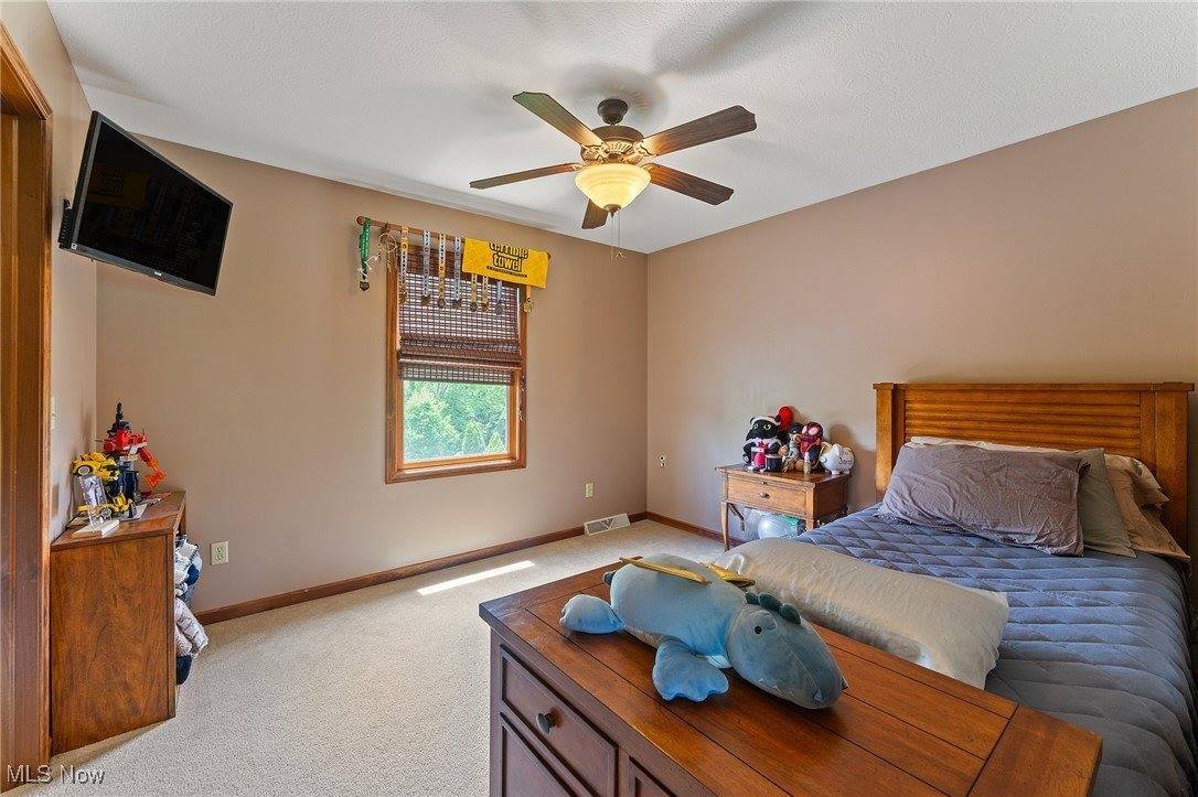 73 Lake Wobegon Drive, Canfield, OH 44406