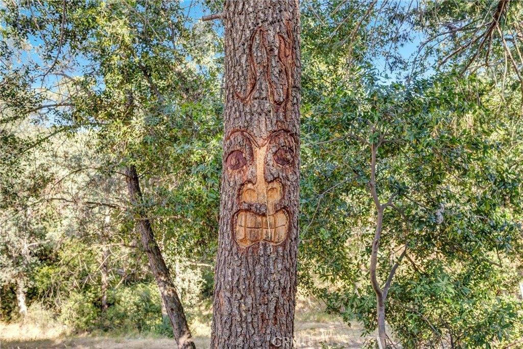 15993 27th Avenue, Clearlake, CA 95422