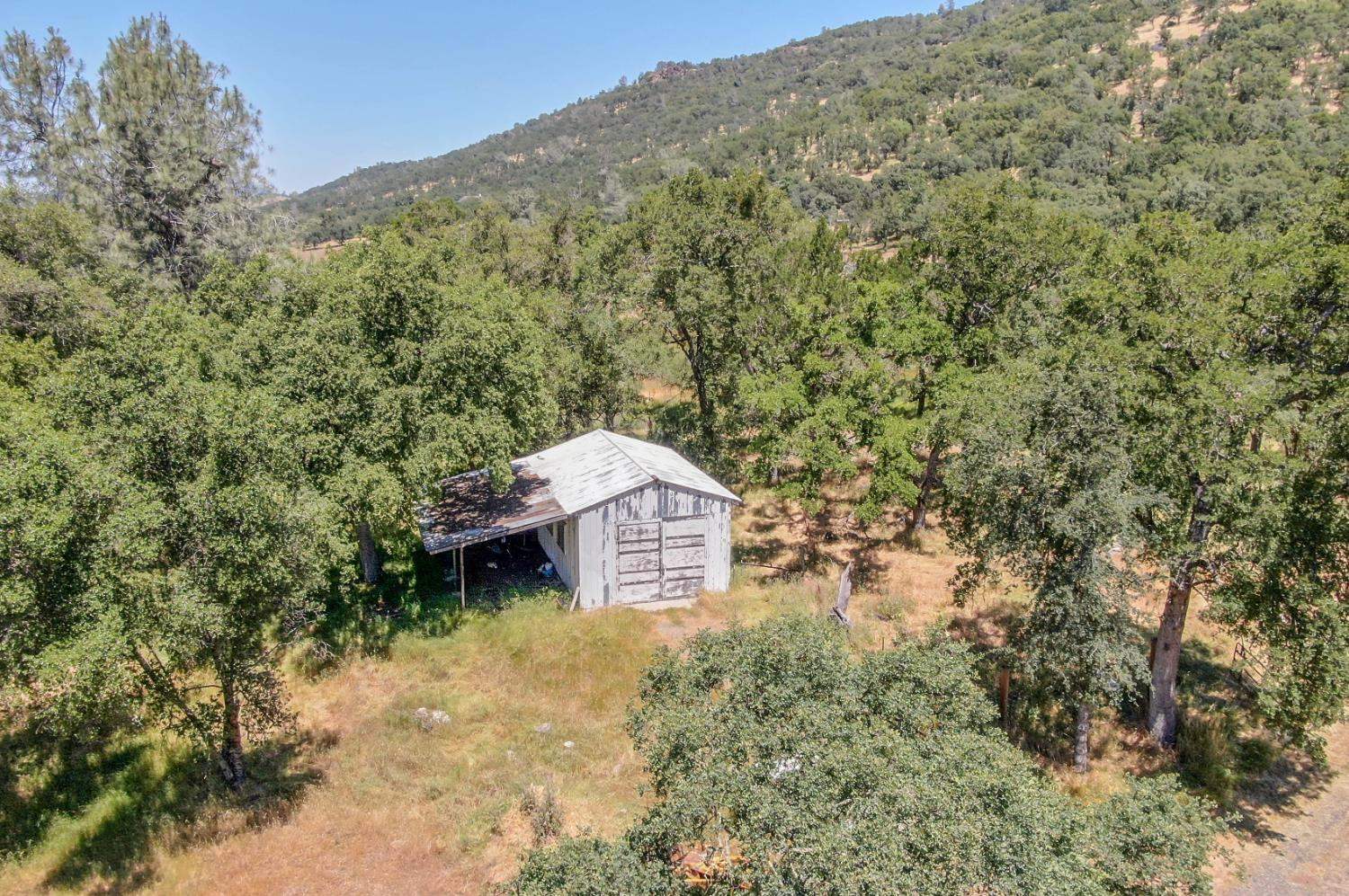 1950 Appaloosa Way, Angels Camp, CA 95222
