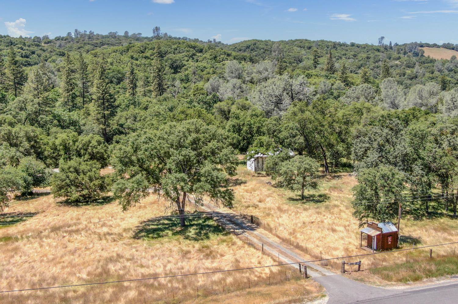 1950 Appaloosa Way, Angels Camp, CA 95222