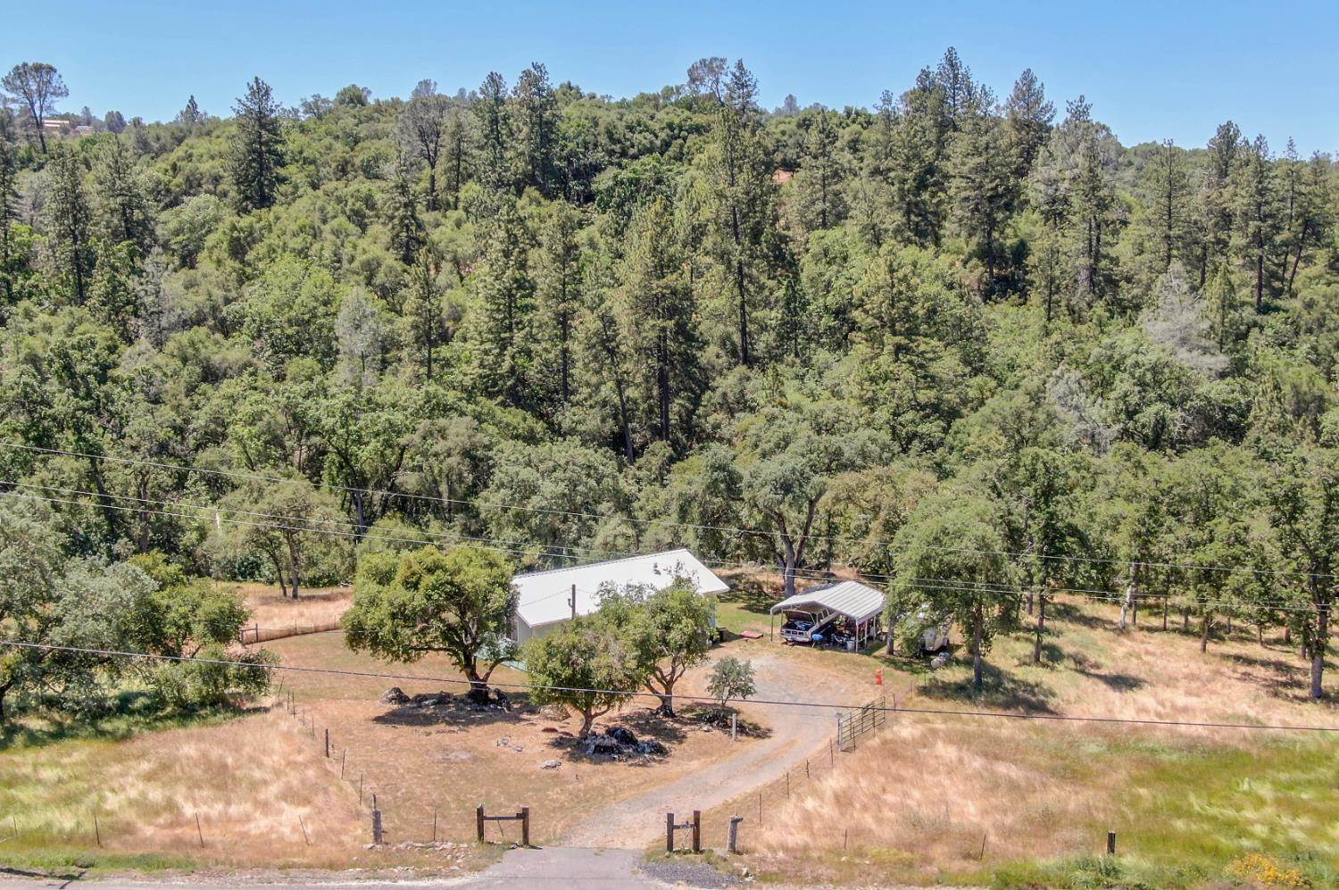 1950 Appaloosa Way, Angels Camp, CA 95222