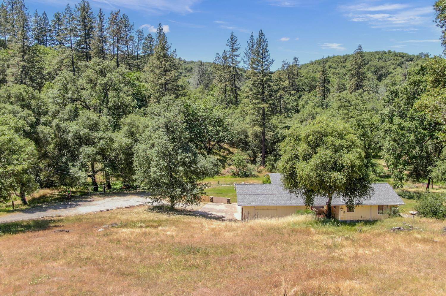 1950 Appaloosa Way, Angels Camp, CA 95222