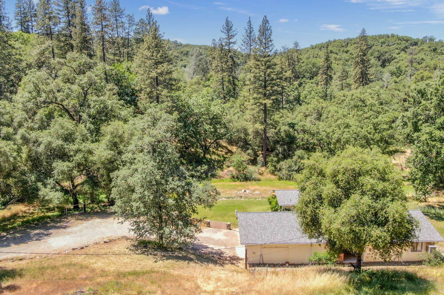 1950 Appaloosa Way, Angels Camp, CA 95222