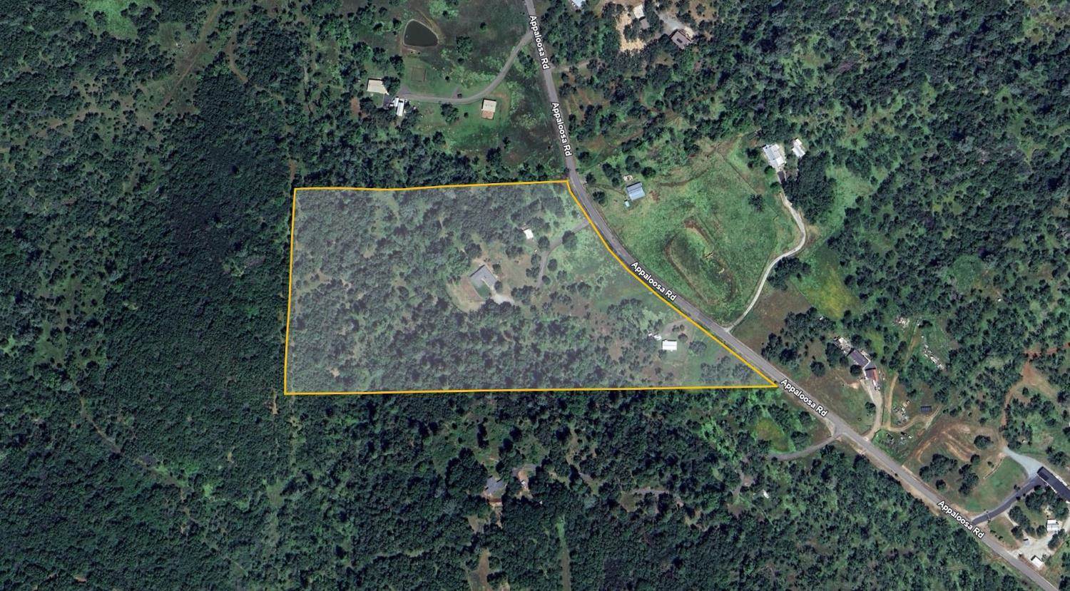 1950 Appaloosa Way, Angels Camp, CA 95222