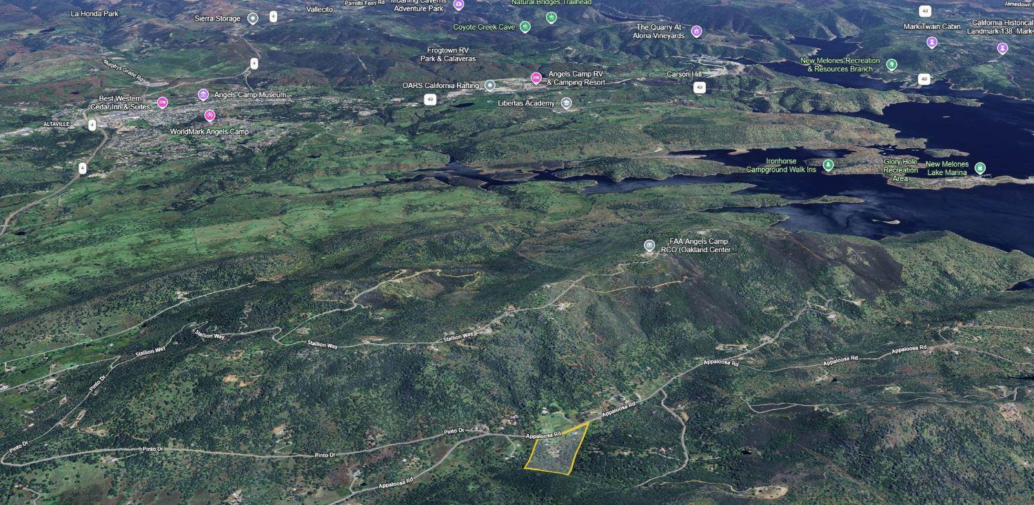 1950 Appaloosa Way, Angels Camp, CA 95222