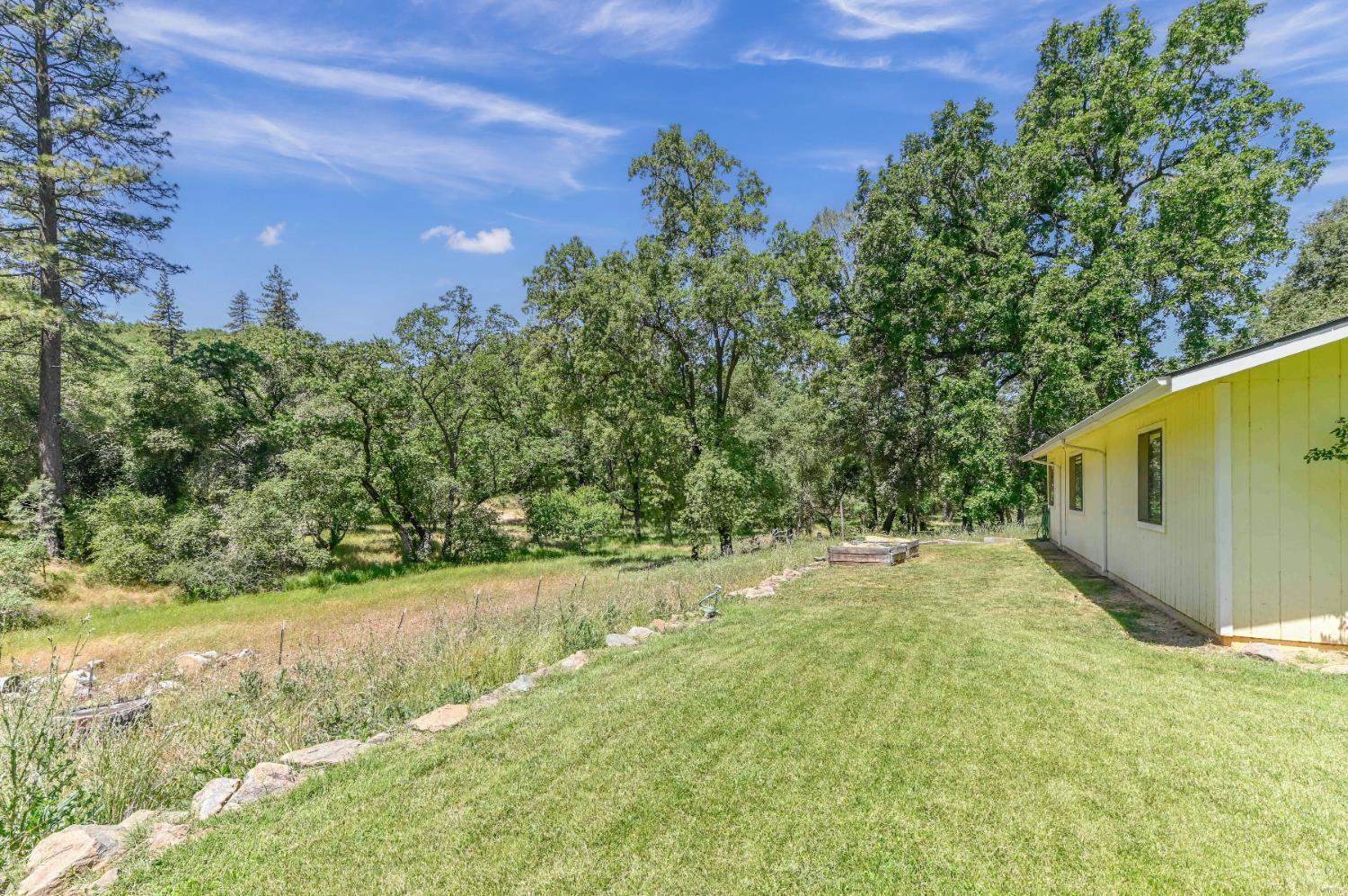 1950 Appaloosa Way, Angels Camp, CA 95222