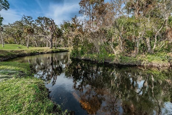 5496 Riverwalk Preserve Drive, New Port Richey, FL 34653