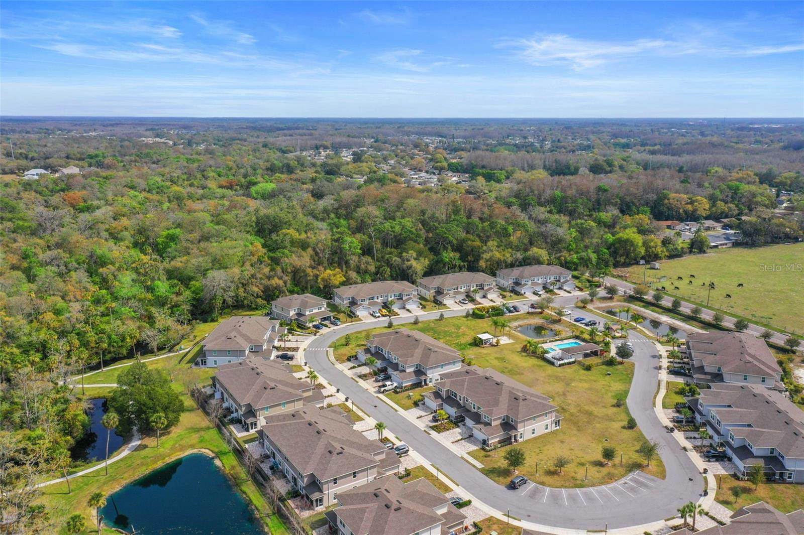 5496 Riverwalk Preserve Drive, New Port Richey, FL 34653