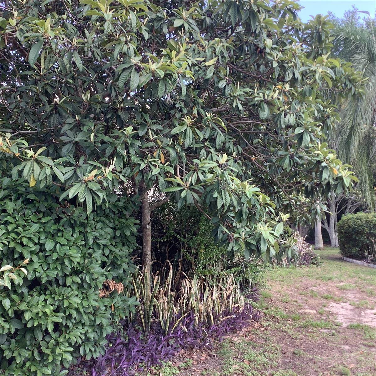 13111 Sunshine Circle, Clermont, FL 34711