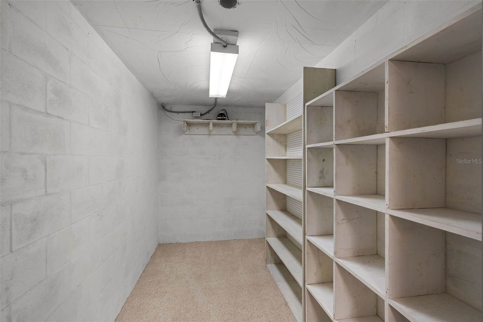 4895 CR 134B, Wildwood, FL 34785