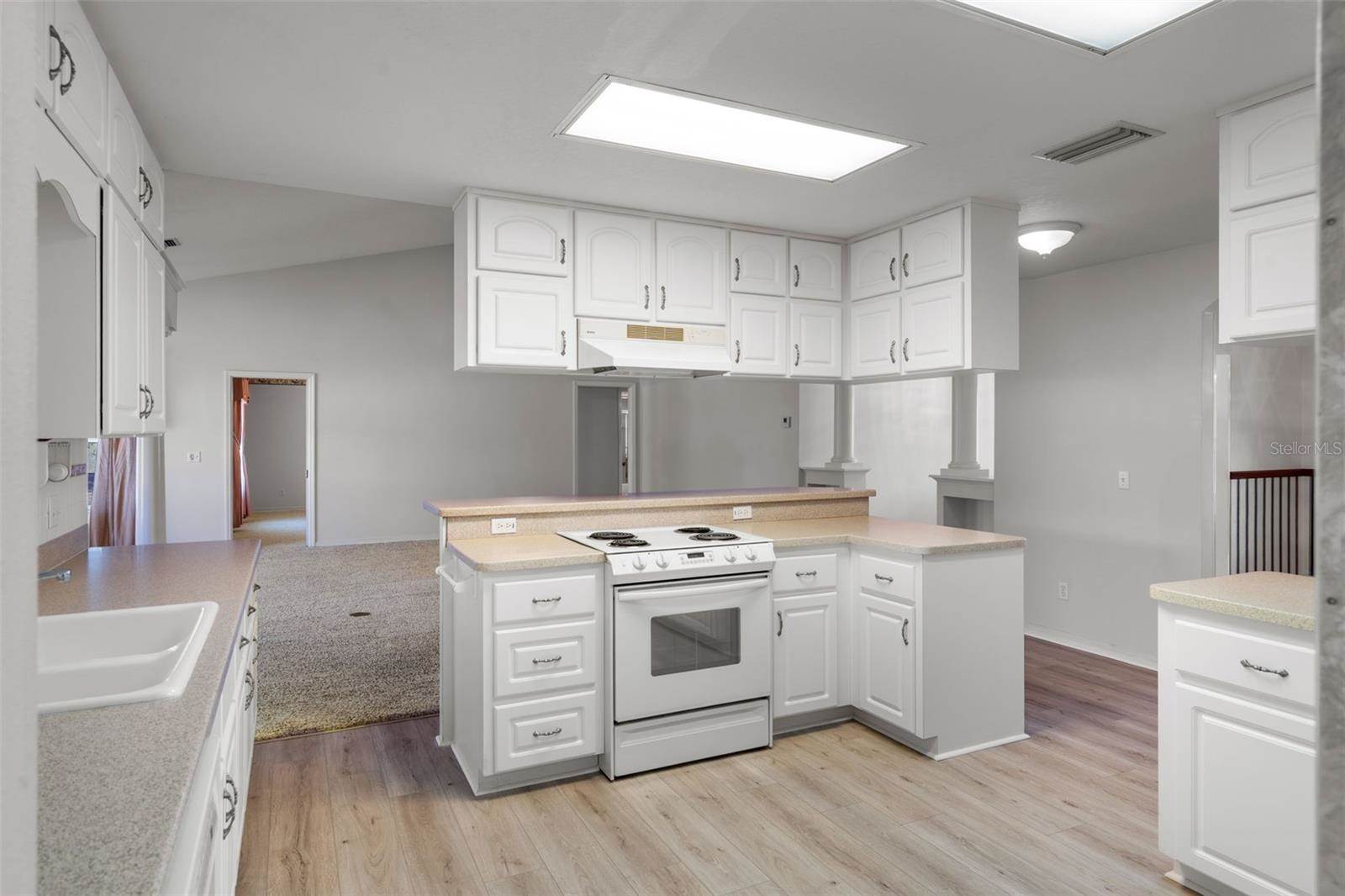 4895 CR 134B, Wildwood, FL 34785