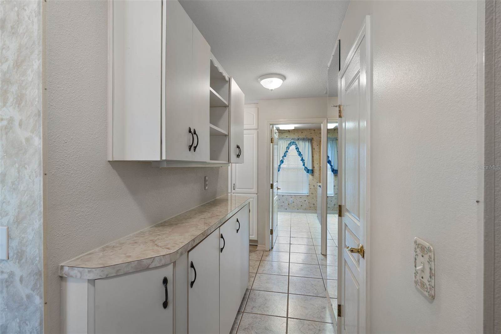 4895 CR 134B, Wildwood, FL 34785