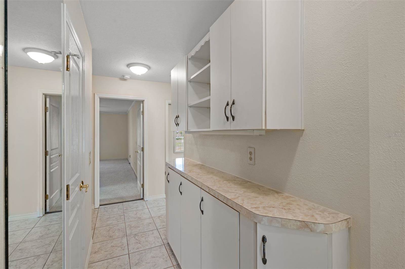 4895 CR 134B, Wildwood, FL 34785