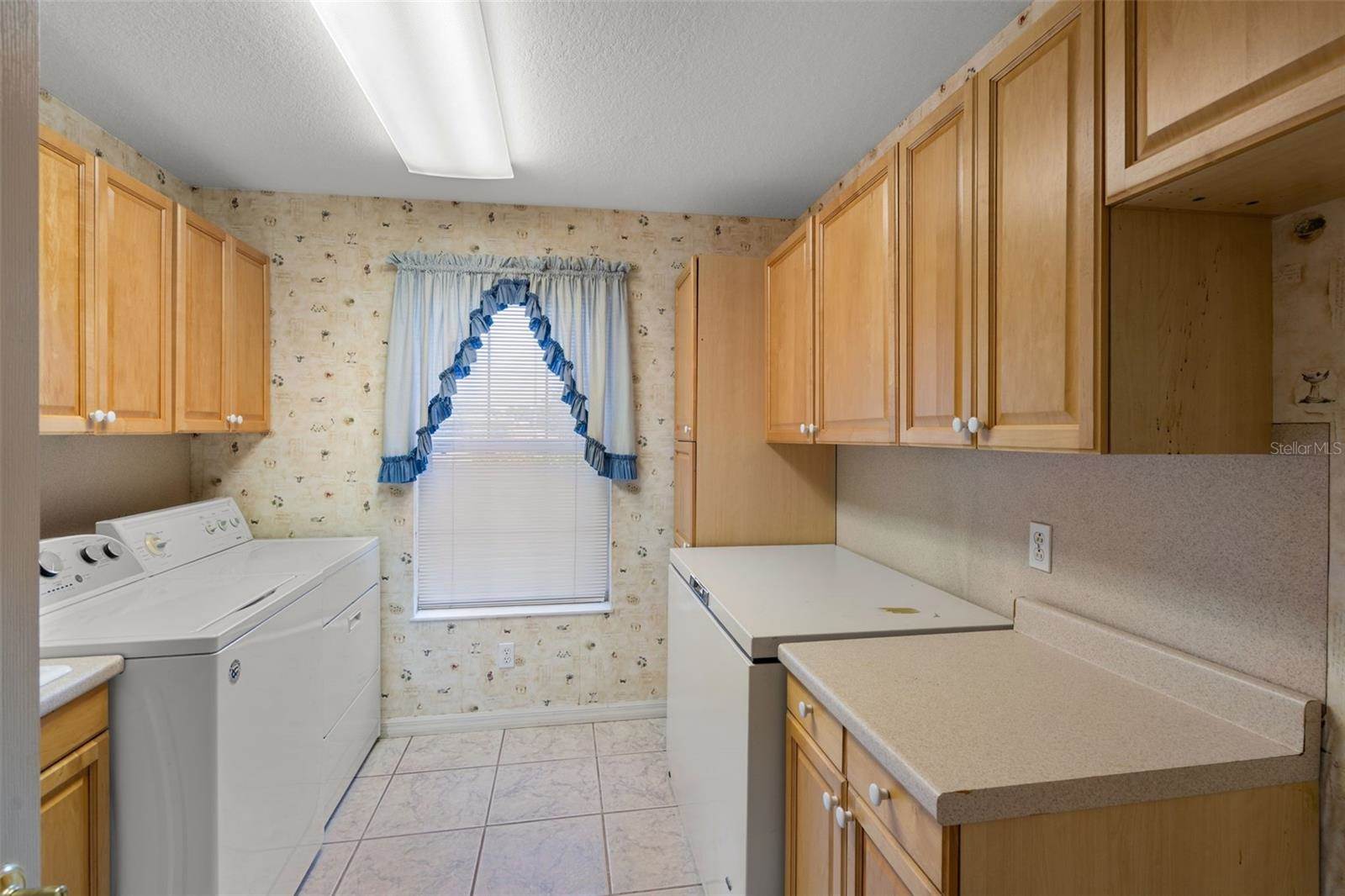 4895 CR 134B, Wildwood, FL 34785