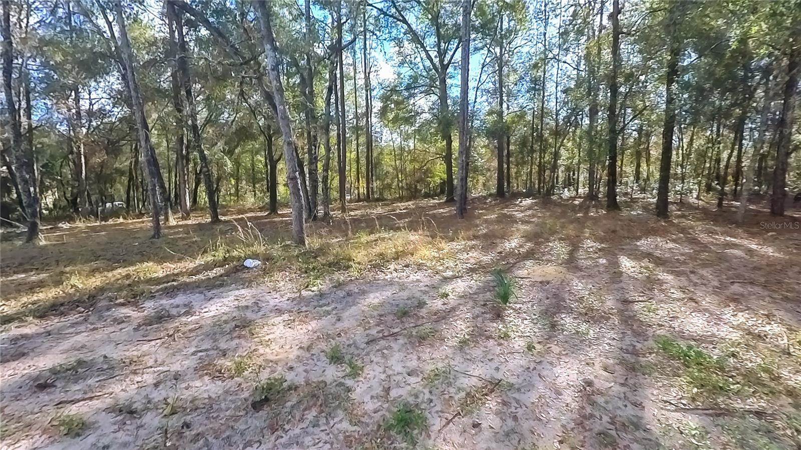 3292 East Porter Street, Inverness, FL 34453