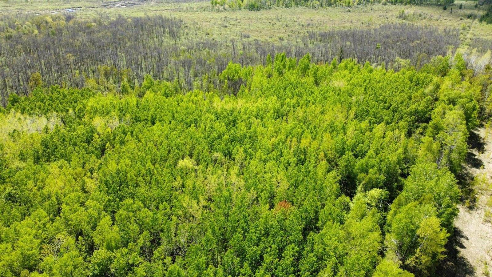 TBD County Rd. 12, Moose Lake, MN 55767