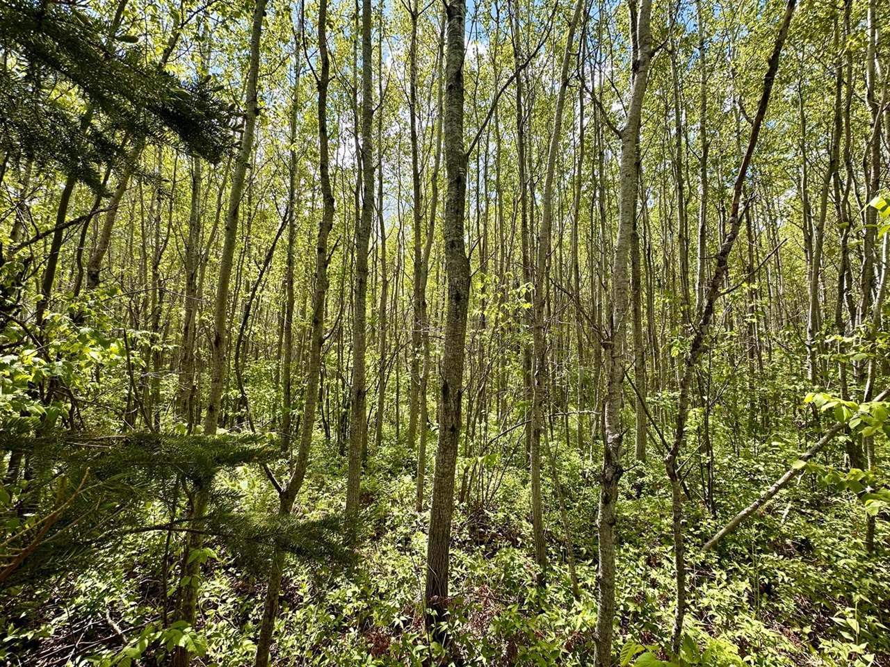 TBD County Rd. 12, Moose Lake, MN 55767