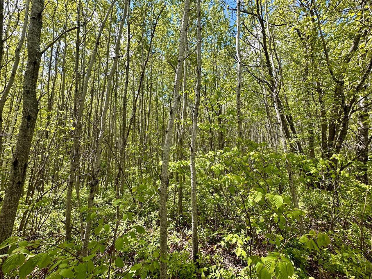 TBD County Rd. 12, Moose Lake, MN 55767