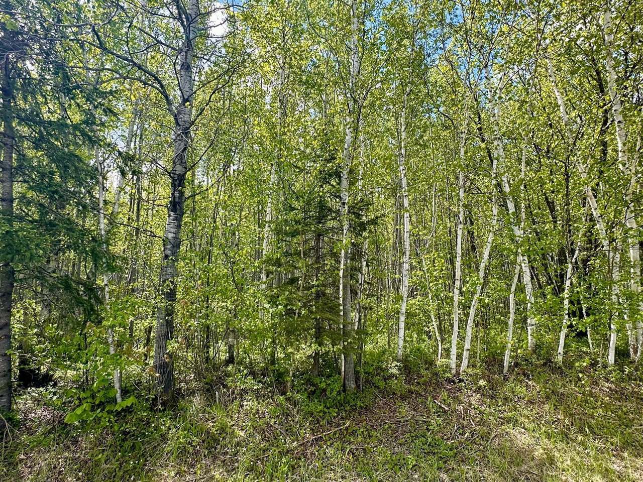 TBD County Rd. 12, Moose Lake, MN 55767