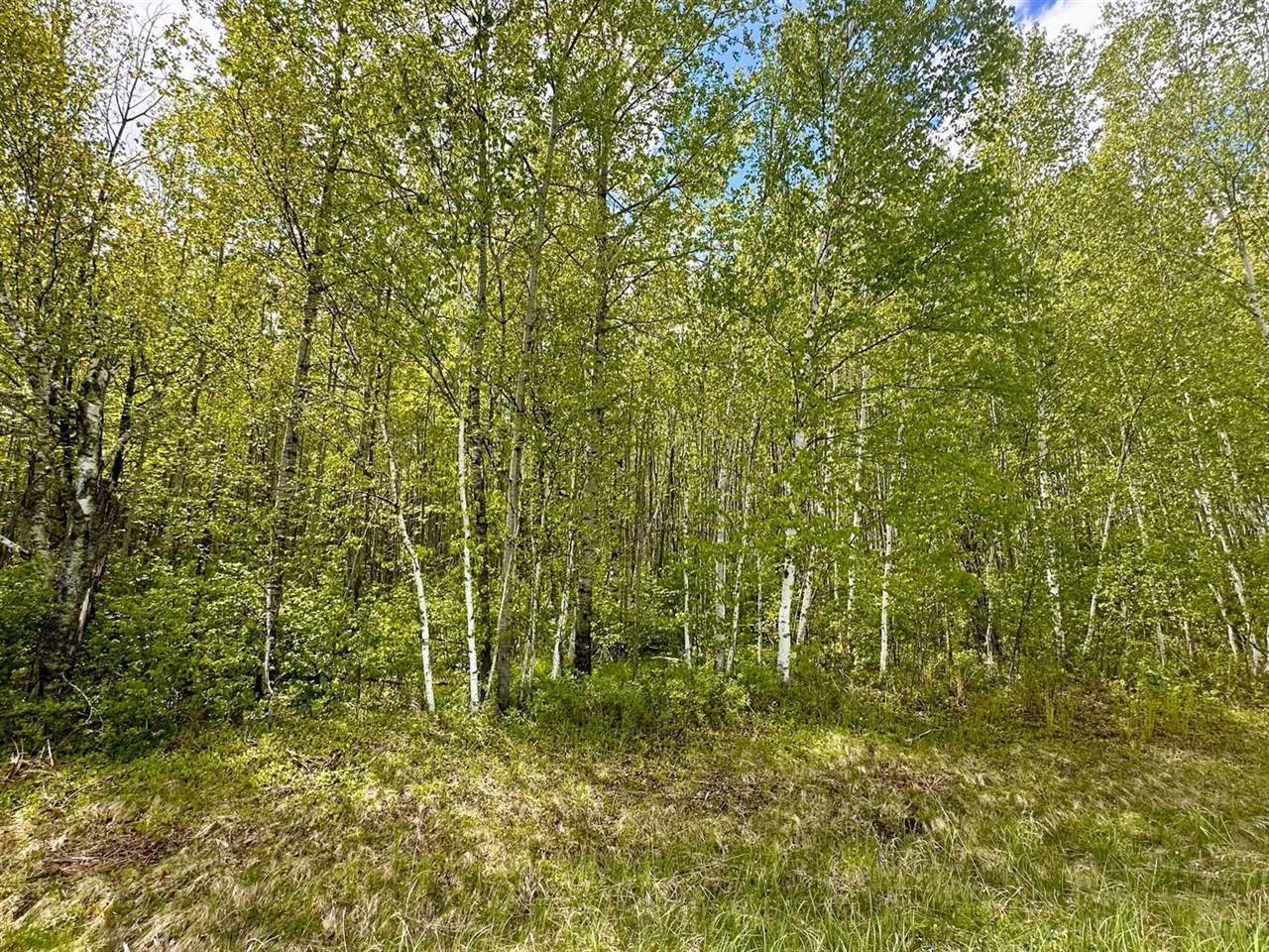 TBD County Rd. 12, Moose Lake, MN 55767