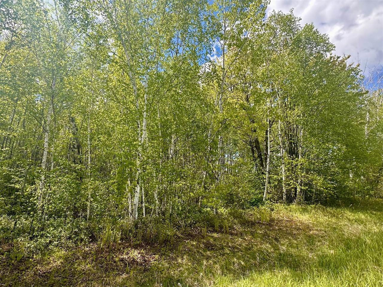 TBD County Rd. 12, Moose Lake, MN 55767