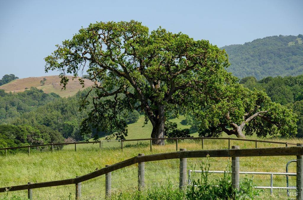 5150 I Street, Petaluma, CA 94952