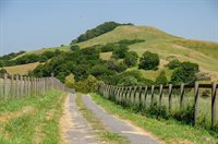 5150 I Street, Petaluma, CA 94952