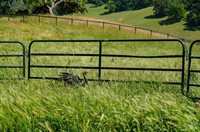 5150 I Street, Petaluma, CA 94952