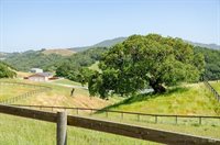 5150 I Street, Petaluma, CA 94952