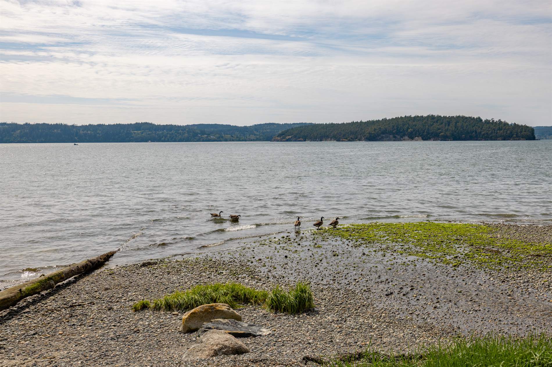 17238 Maple Lane, La Conner, WA 98257