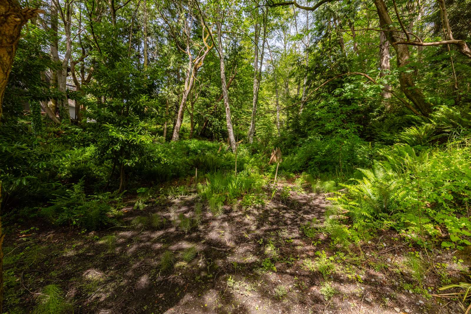 17238 Maple Lane, La Conner, WA 98257