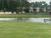 109 Dove Court, Navasota, TX 77868