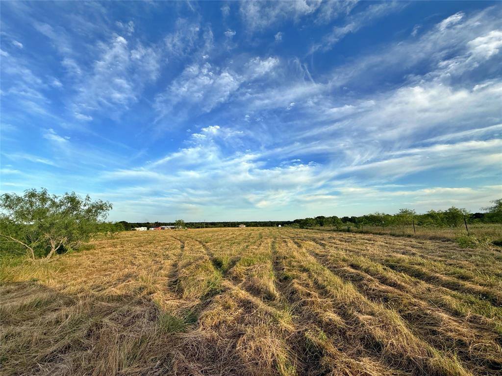 1471 Lcr 462, Mexia, TX 76667