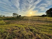 1471 Lcr 462, Mexia, TX 76667