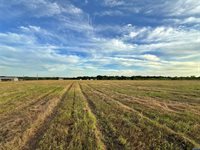 1471 Lcr 462, Mexia, TX 76667