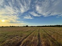 1471 Lcr 462, Mexia, TX 76667