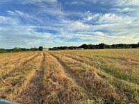 1471 Lcr 462, Mexia, TX 76667