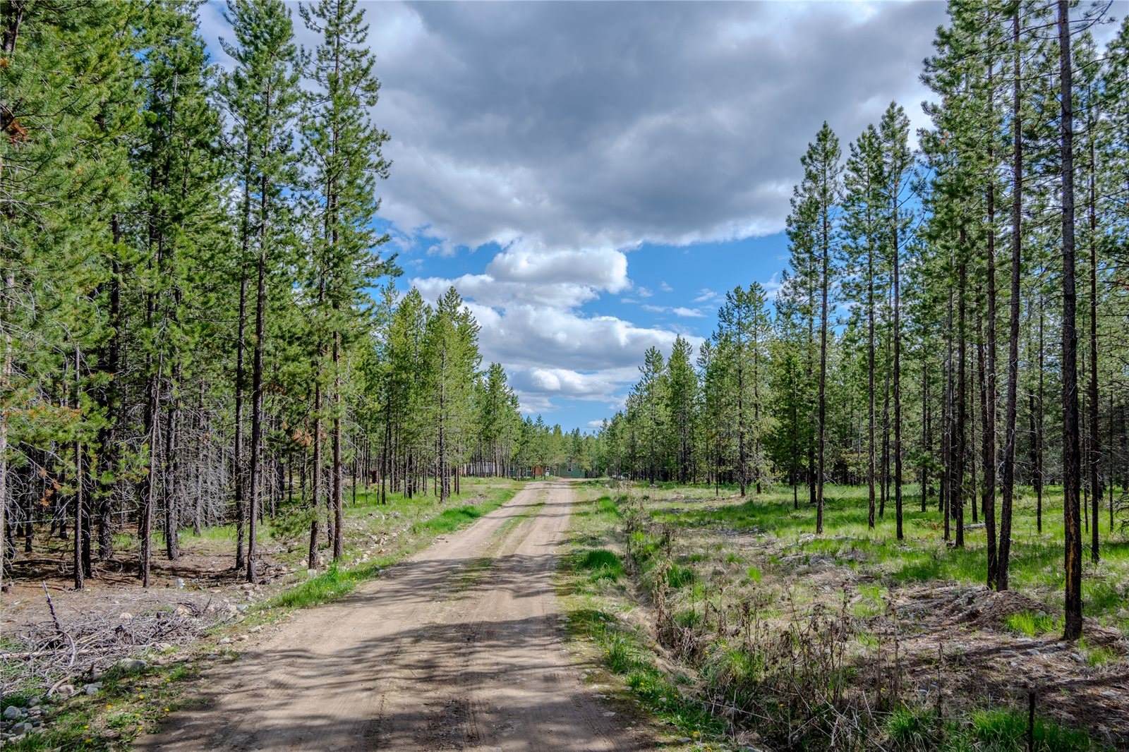 675 Griz Lane, Marion, MT 59925