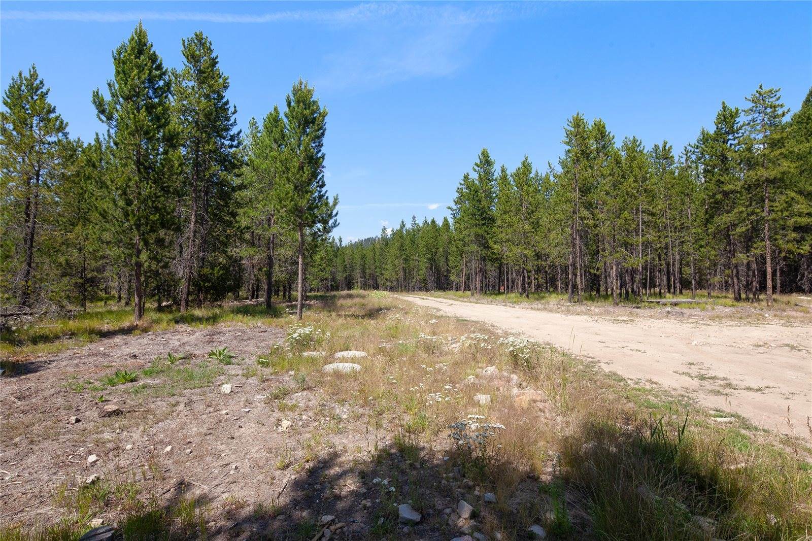 675 Griz Lane, Marion, MT 59925