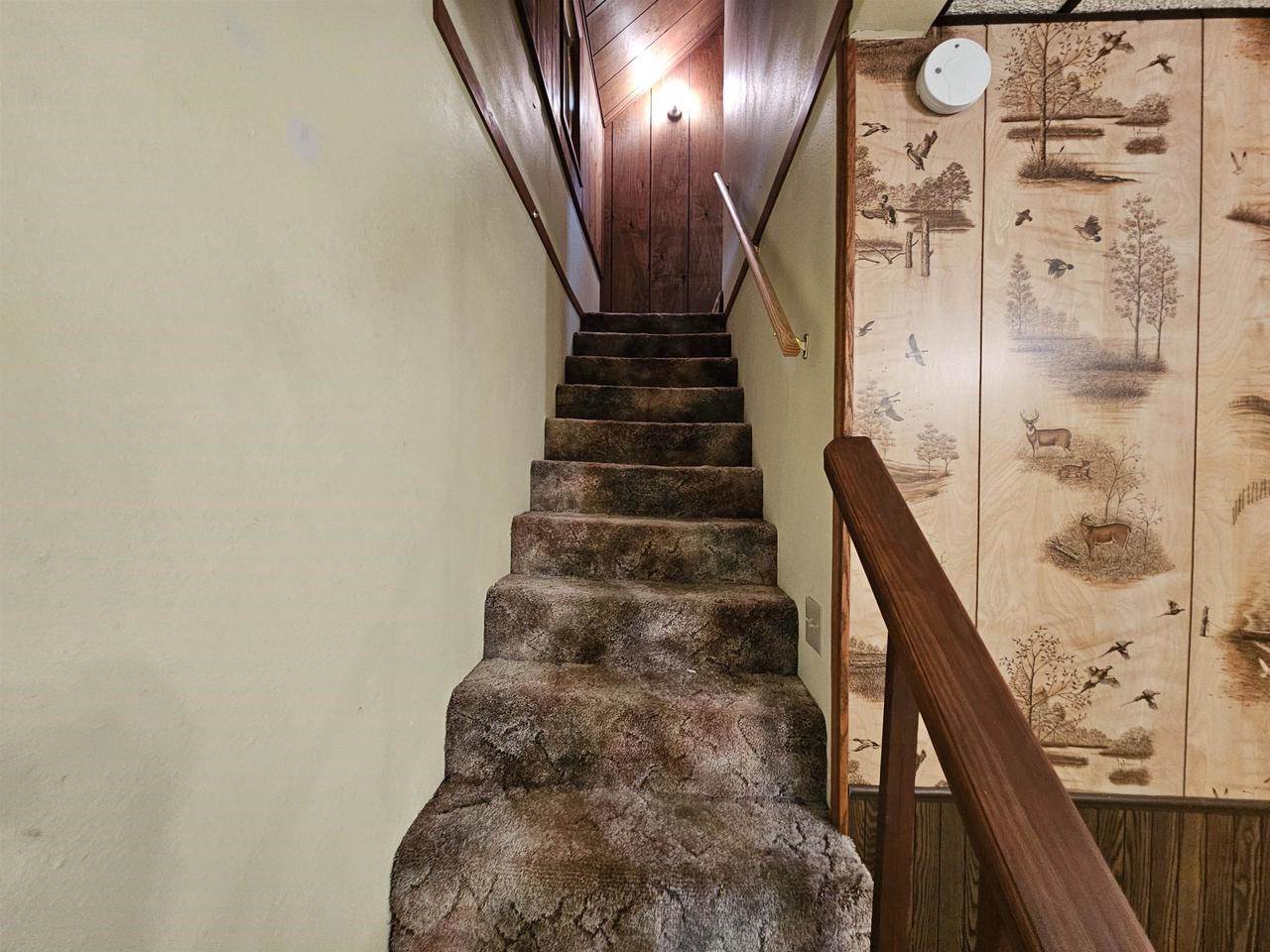 617 center Street, Wonewoc, WI 53968