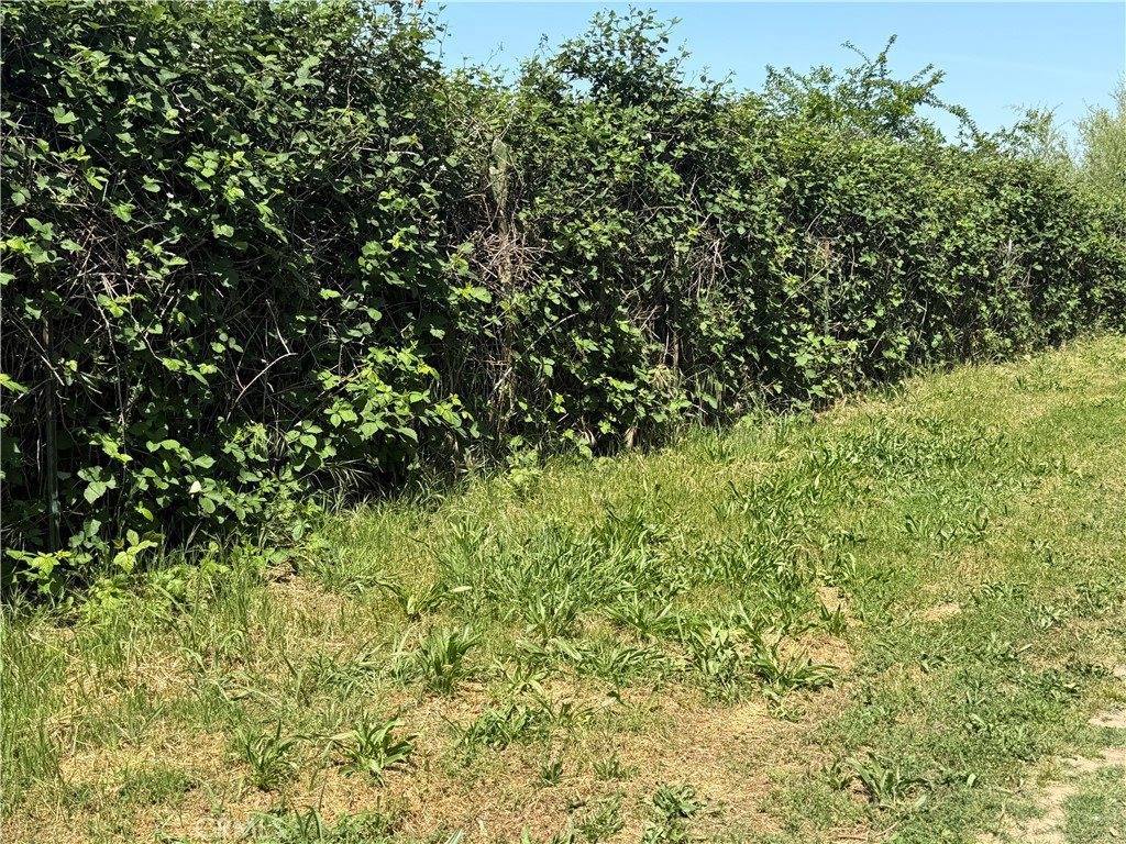 355 Obrien Avenue, Gridley, CA 95948