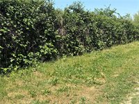 355 Obrien Avenue, Gridley, CA 95948