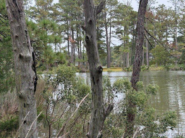 0 Severn Wharf Road, Gloucester County, VA 23072